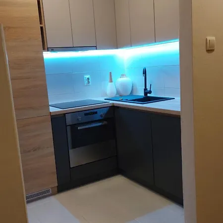Centar Sunrise 公寓 巴尼西卢卡
